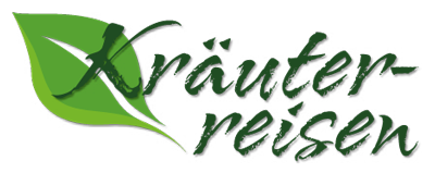 TYPO3 CMS logo